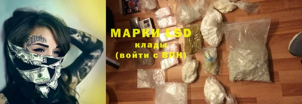 ПСИЛОЦИБИНОВЫЕ ГРИБЫ Белоозёрский