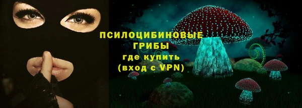 ПСИЛОЦИБИНОВЫЕ ГРИБЫ Белоозёрский