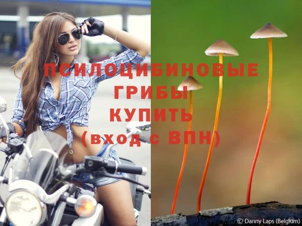 дурь Богданович