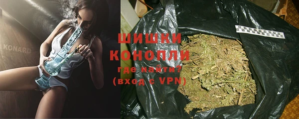 ПСИЛОЦИБИНОВЫЕ ГРИБЫ Белоозёрский