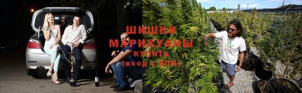 дурь Богданович