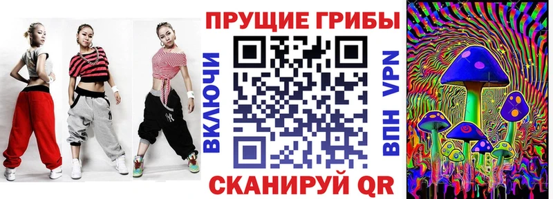 omg ССЫЛКА  где купить наркоту  Дмитровск  Псилоцибиновые грибы Psilocybe 