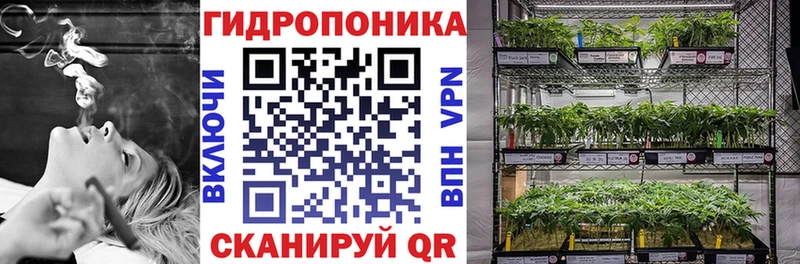 Каннабис гибрид Дмитровск